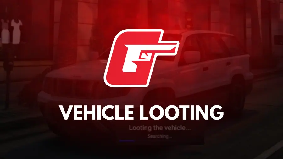 Vehicle Looting